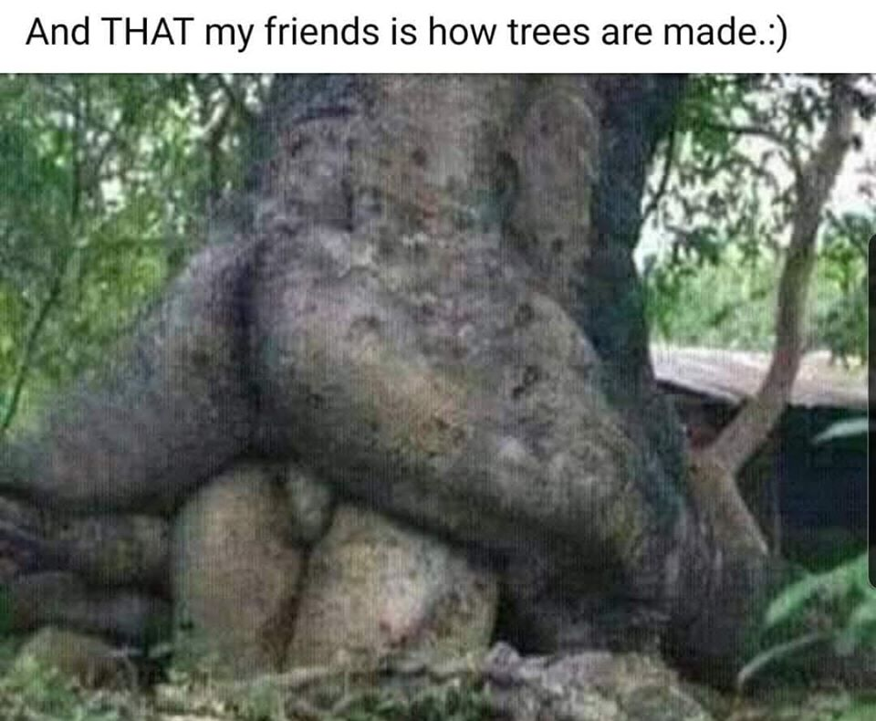 1589251293186.png