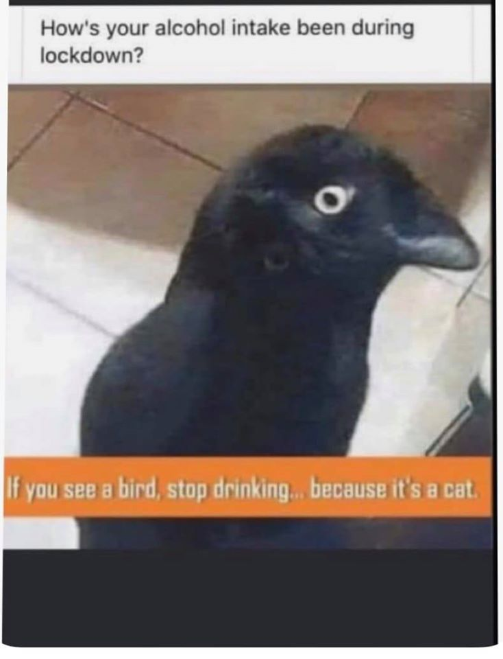 1589251799101.png