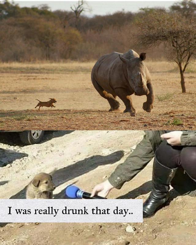1589255787376.png