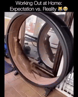 1589414859113.gif