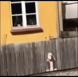1589414961746.gif