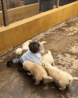 1589415332394.gif