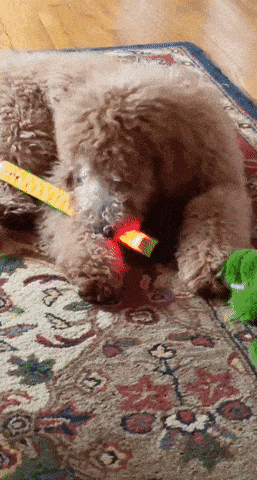 1589416466017.gif
