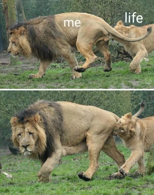 1589457300919.png