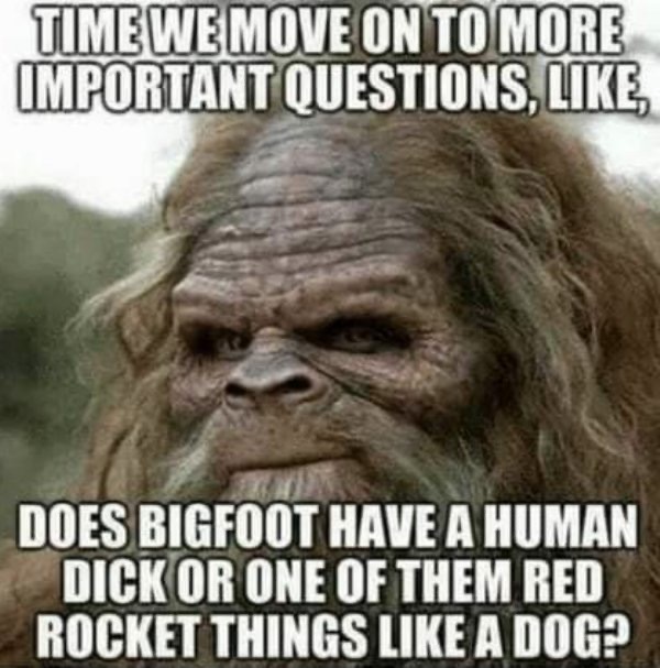 1589480018_lazpehqx4k.jpeg