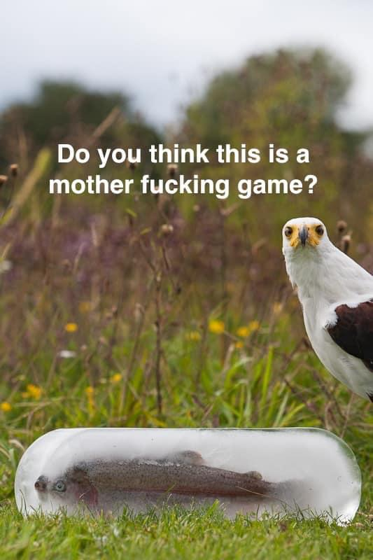 1589594452210.png