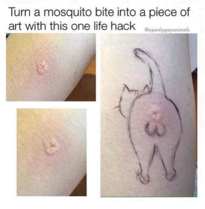 1589831160140.png