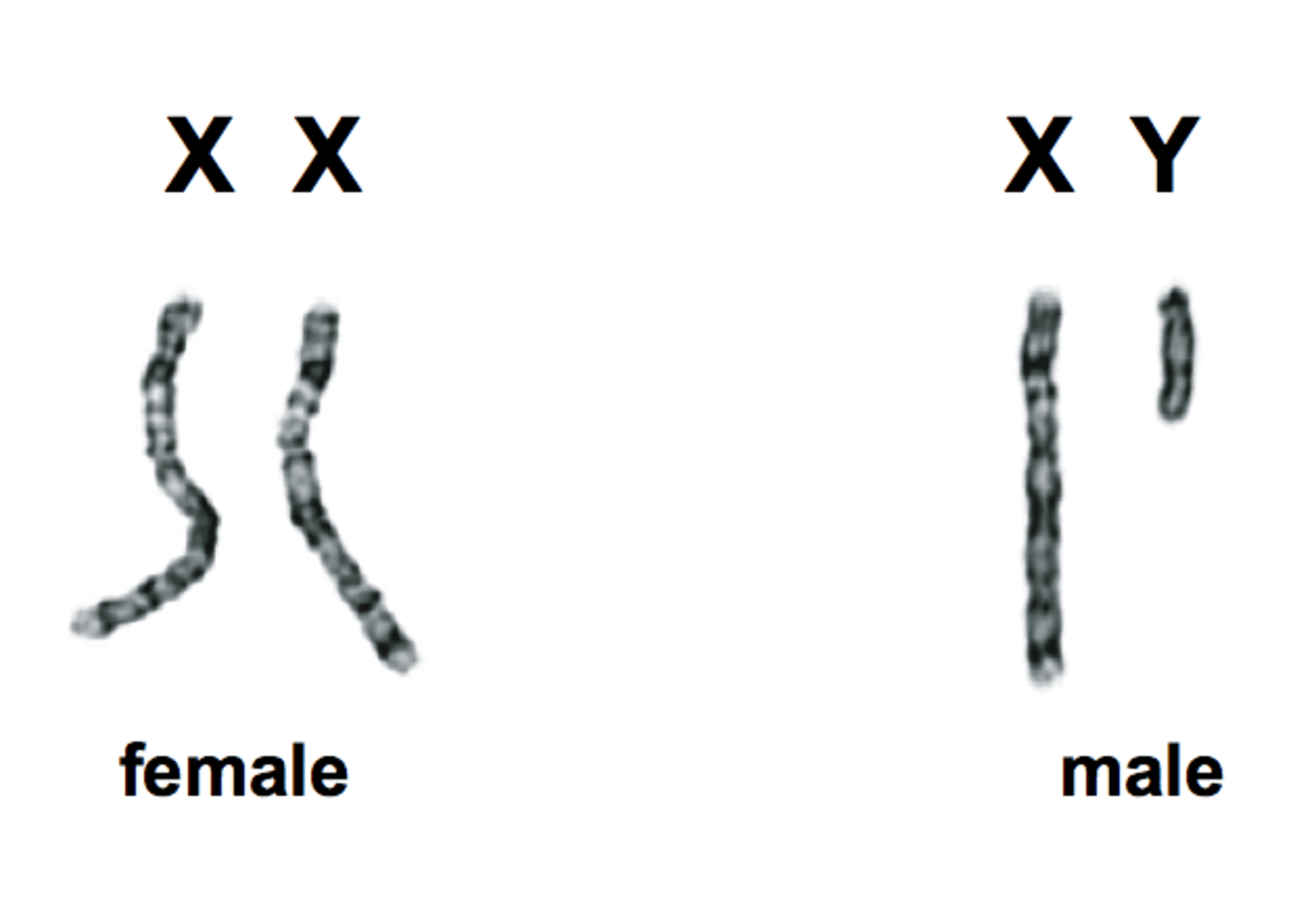 1589909307242.png