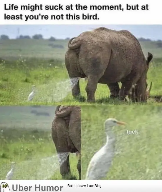 1590224765624.png