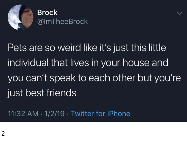 1590412443093.png