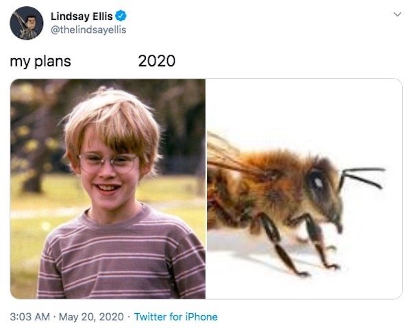 1590426682_1v8stjcmzy.jpeg