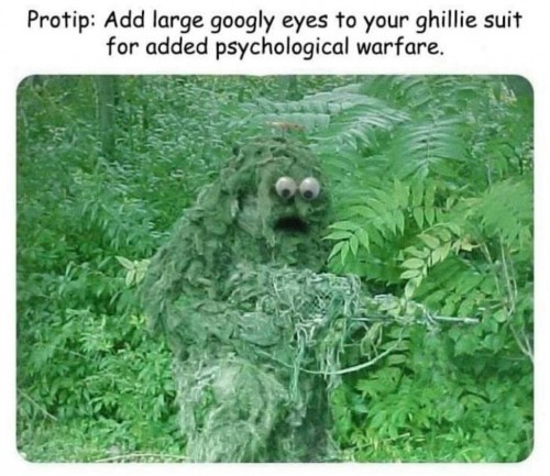 1590780281184.jpeg