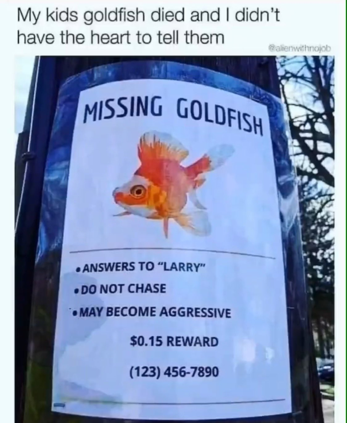 1590817819132.png