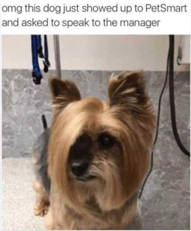 1591194385857.png