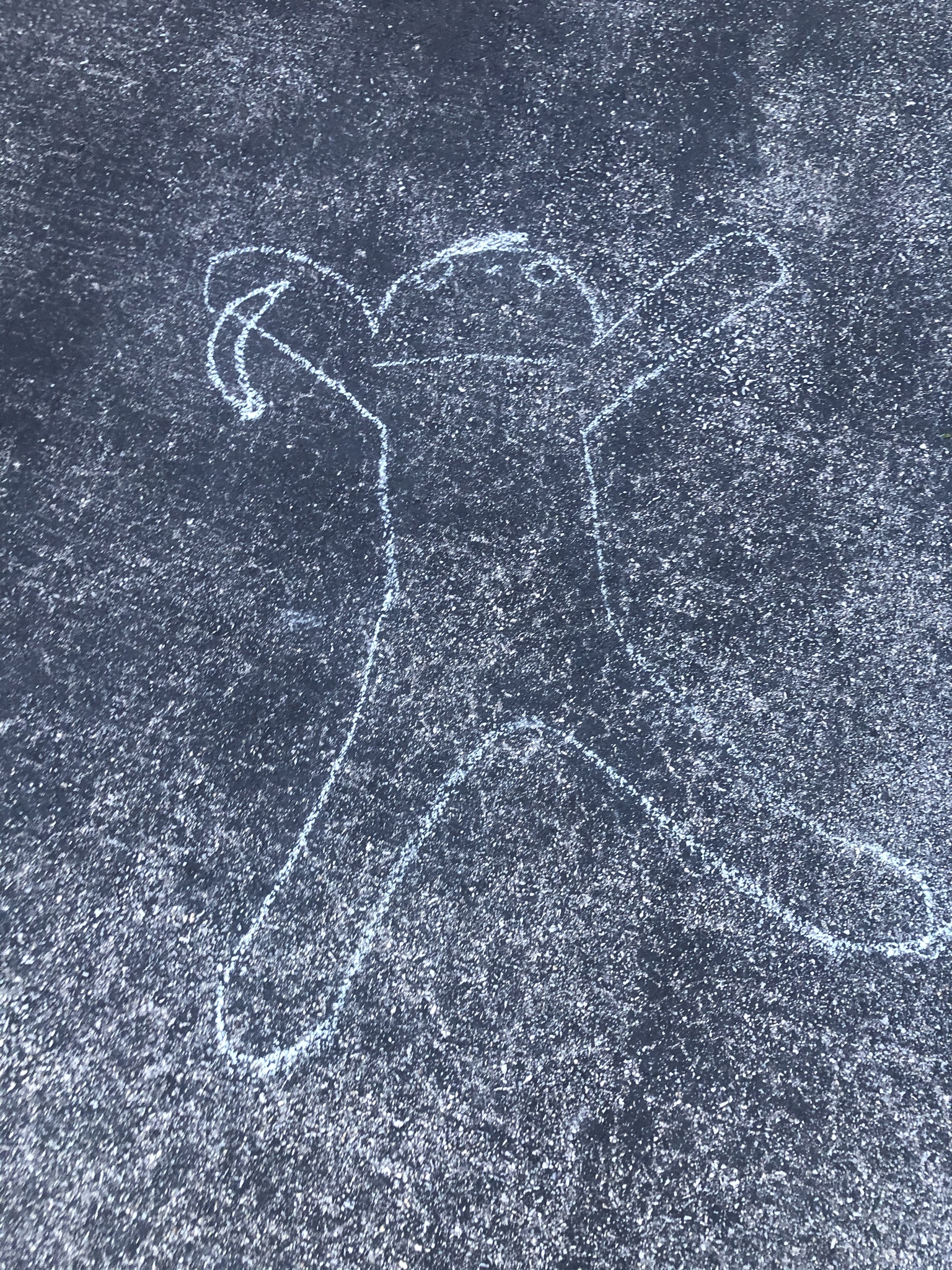 1591208382442.png