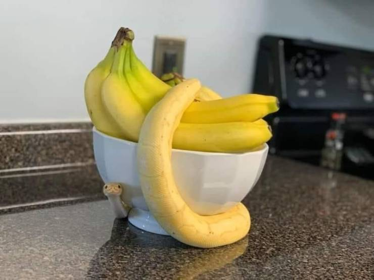 1591269007252.png
