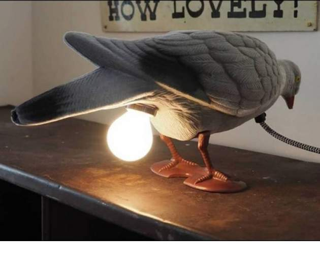 1591317939583.png