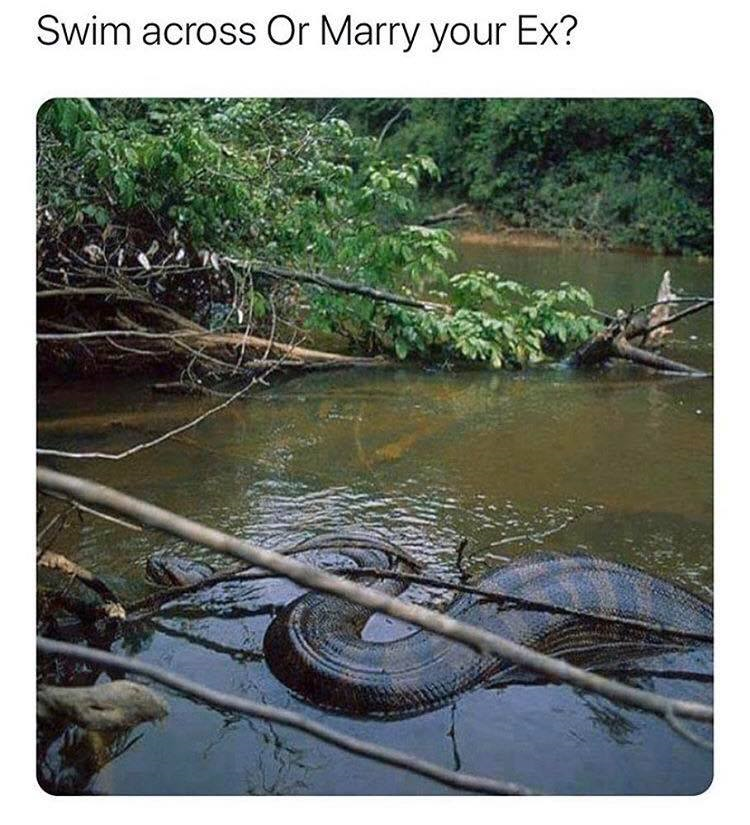 1591503176974.png