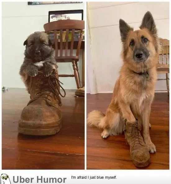 1591708601238.png