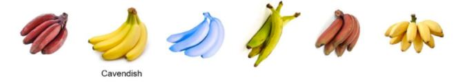 1591718572290.png