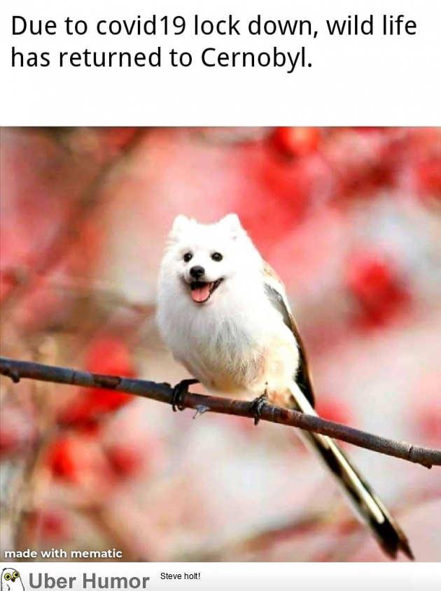 1592314747943.png