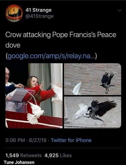 1592342349510.png