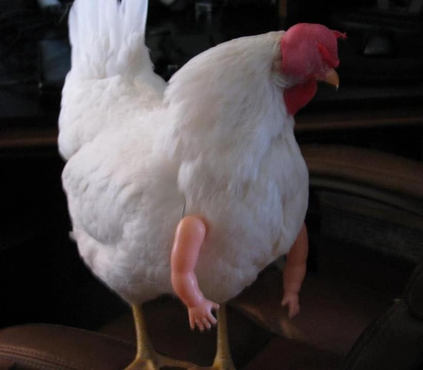 1592479767390.png