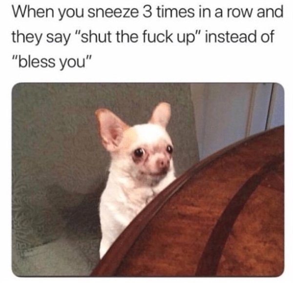 1592835668_sczbxm8fxz.jpeg