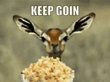 1593114636503.gif