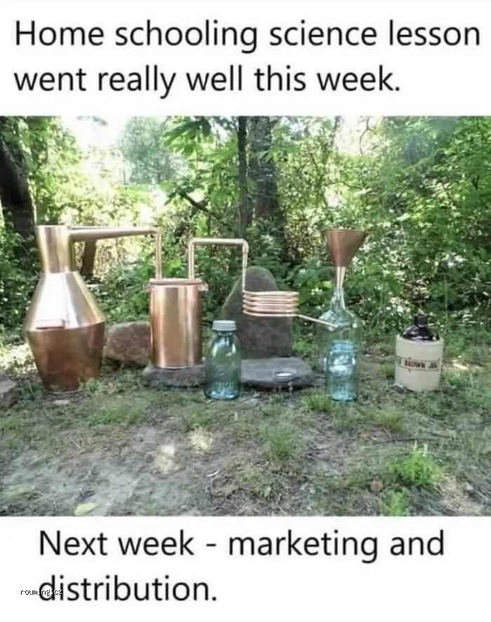 1593197559988.png