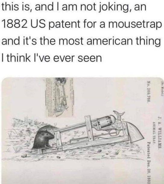 1593359314_8b0zosjsxi.jpeg