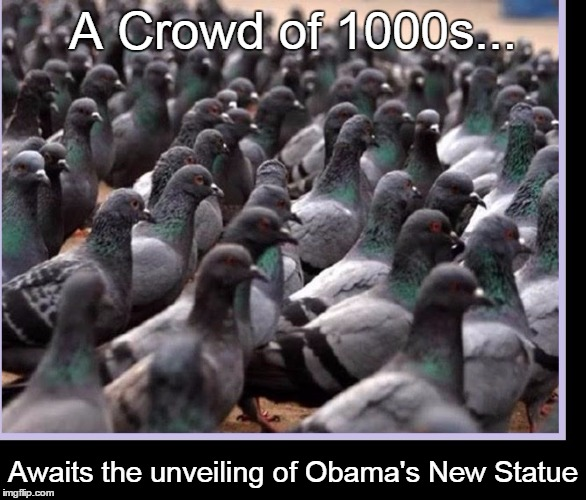 1593375725579.png