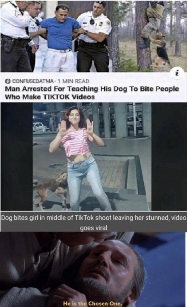 1593457022_f042anpia1.jpeg