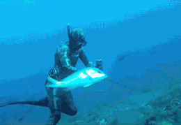1593827788512.gif