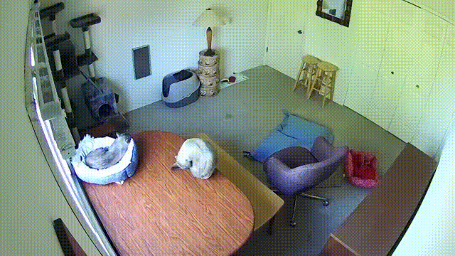 1593828122812.gif