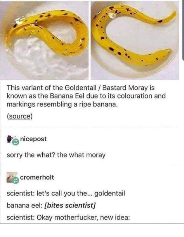 1594216166912.png