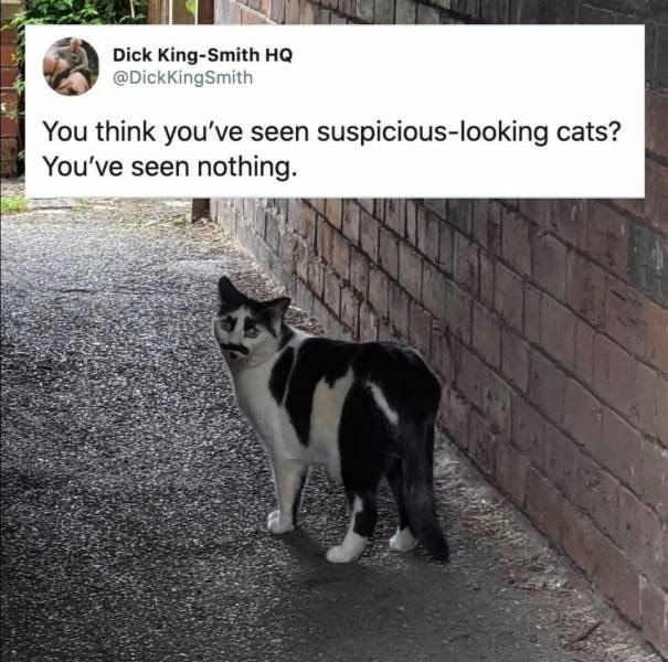 1594669550_6mlfsjnld3.jpeg