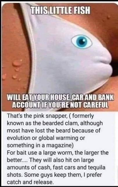 1594816449403.png