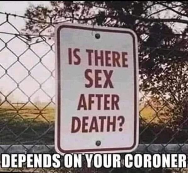 1594840982_gvz3ett7cf.jpeg