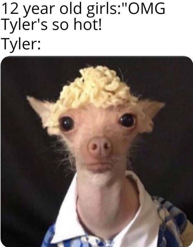 1594842148_ih58iyu4xf.jpeg