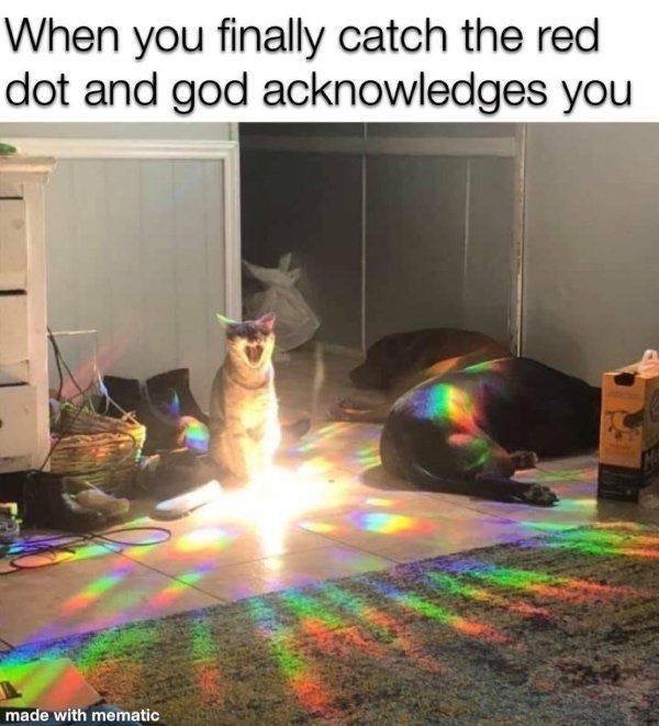1594928965_xmwj23d799.jpeg