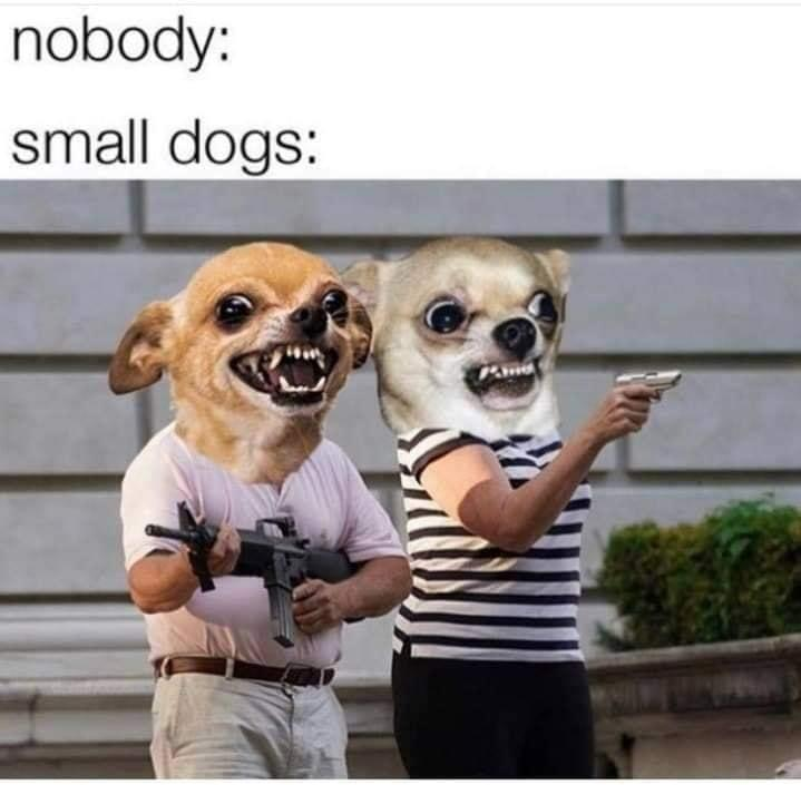1594956997456.png