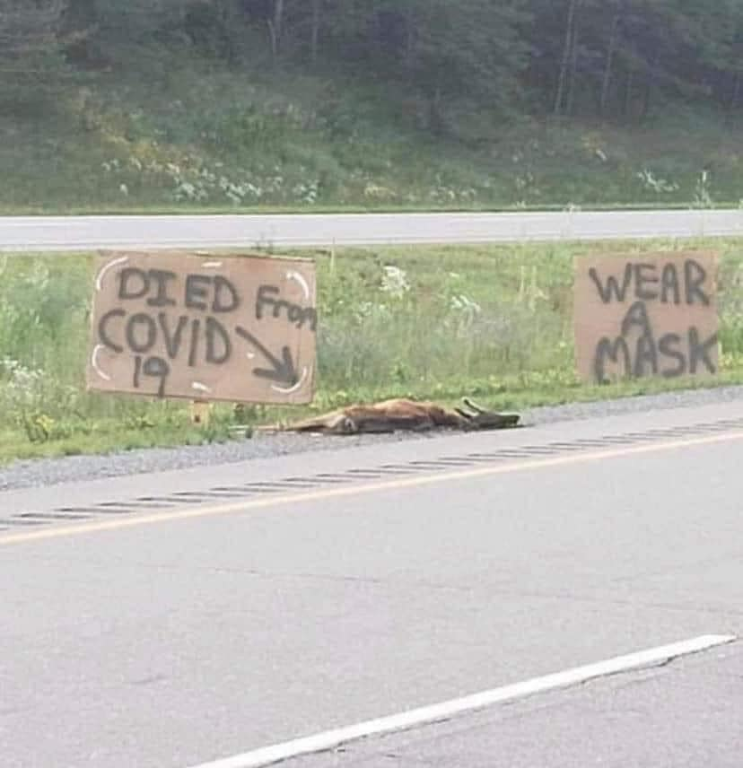 1594962935399.png
