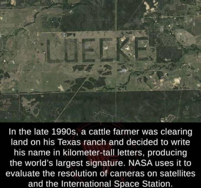 1594999353003.jpeg