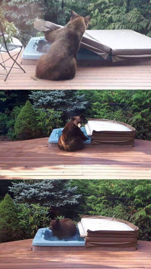 1595131758366.jpeg