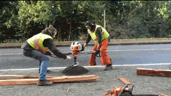 1595132284579.gif