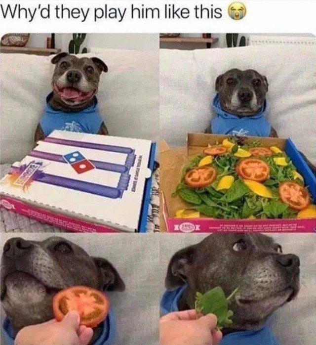 1595172823_j5hvg3mrpt.jpeg