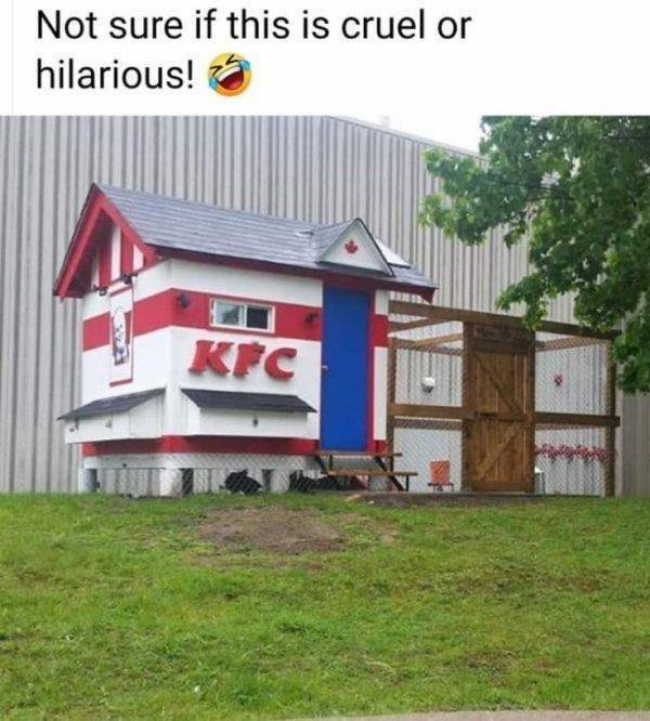 1595225837456.jpeg