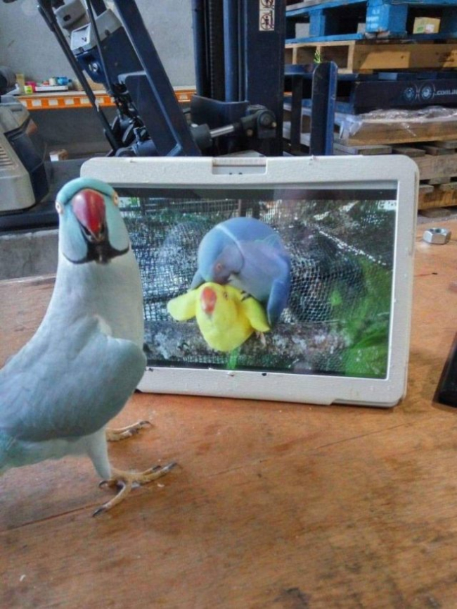 1595225994006.jpeg