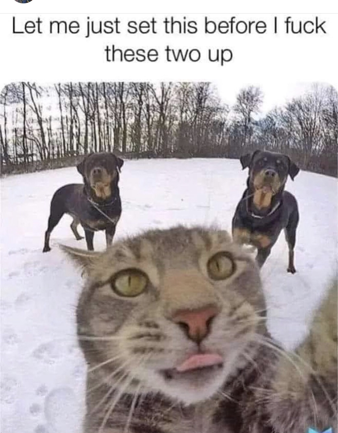1595260369204.png